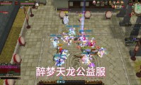 天龙八部公益服：经典玩法重现与公平竞技环境解析
